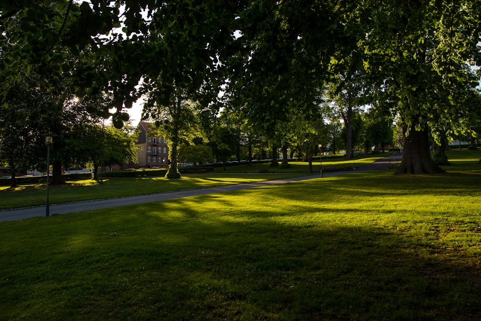 A park scene during late afternoon with large, mature trees casting shadows on well-maintained grassy areas and paved paths. In the background, residential buildings with brick facades are visible through the foliage. The sunlight filters through the leaves, creating a dappled light effect on the ground. The setting appears calm and suitable for residential relocations, with no vehicles or moving equipment visible. This environment is relevant when considering the logistics of house removals, including parking and access for moving teams such as those from Man with Van Bounds Green, supporting home relocation and furniture transport services.