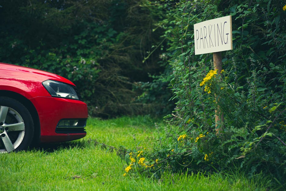 A partial view of a red vehicle, showing the front left corner including the headlight, bumper, and a alloy wheel, parked on a grassy area beside a makeshift parking sign made from a wooden stake and a white board with the word 'PARKING' handwritten in large letters. The sign is surrounded by green foliage, bushes, and yellow wildflowers. The environment appears to be an outdoor setting near an overgrown driveway or parking space, suggesting a home relocation or furniture transport scenario. In the background, dense trees and bushes create a natural backdrop. The scene is lit with natural daylight, and the positioning indicates a context of loading or unloading, aligning with house removal and moving services provided by Man with Van Bounds Green, focusing on parking and logistics for effective relocation.