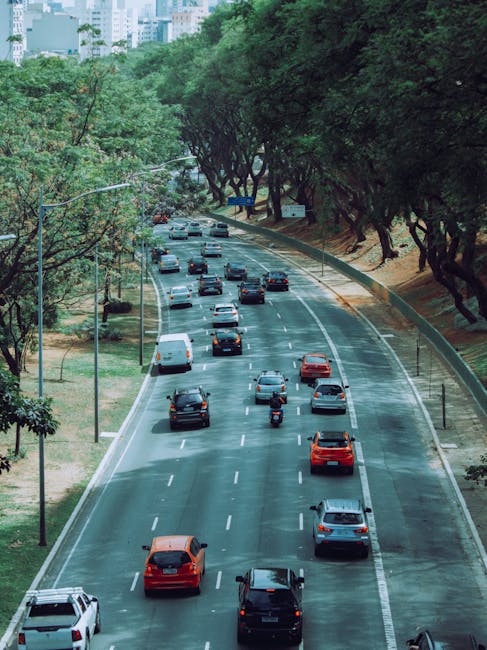 A view of a busy multi-lane street with various vehicles including cars and a motorcycle, some of which appear to be parked or waiting. On the right side, there are large, mature trees with dense green foliage providing shade along the pavement. In the background, modern buildings are partially visible through the trees. The road surface has clear lane markings, and the scene appears to be in a quiet, urban area during daylight hours. This setting illustrates typical street activity where house removals and packing materials may be transported by professional services like Man with Van Bounds Green, especially during relocations involving parking suspensions and timing considerations for street access.